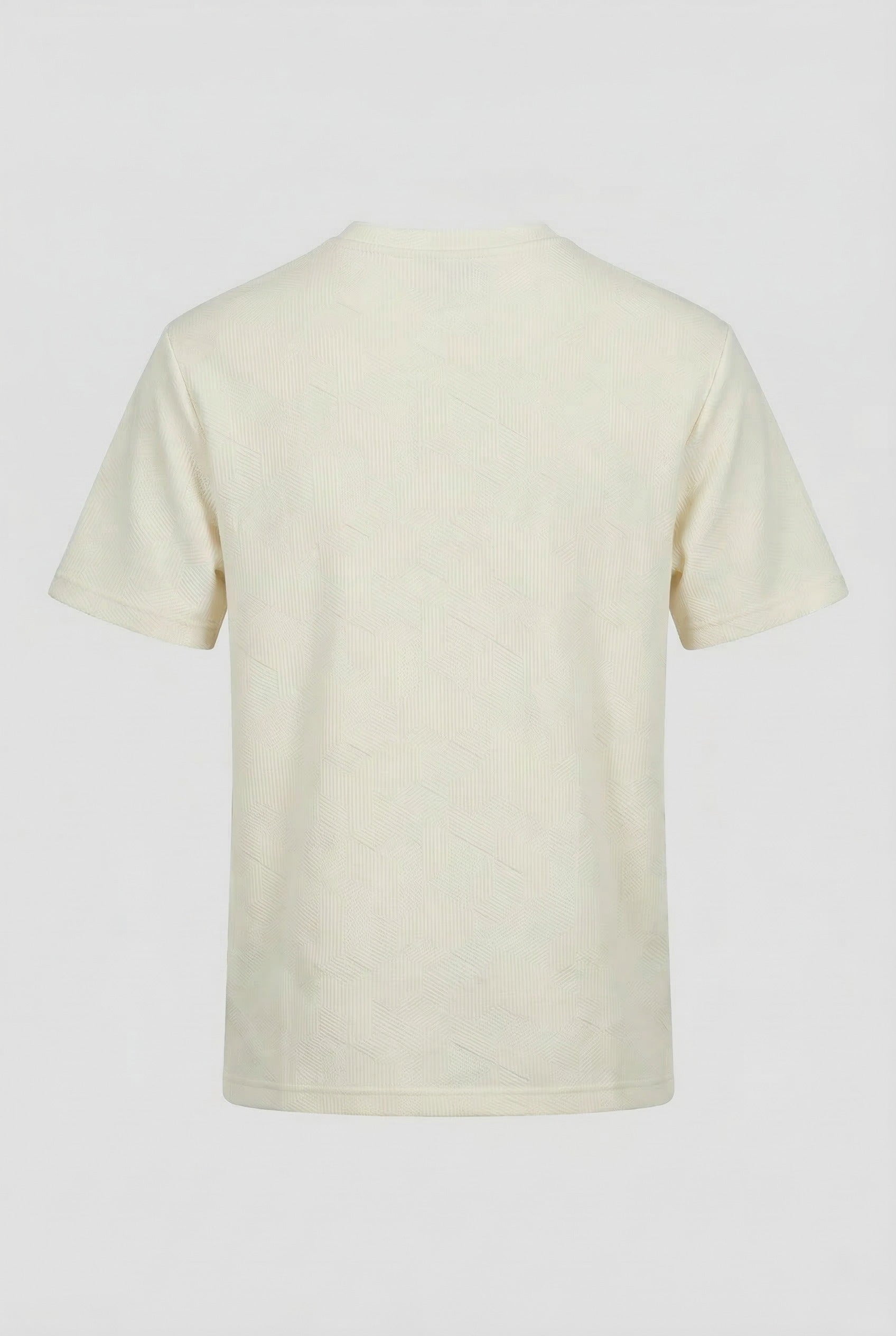 Classic V-Neck T-Shirt (HTABJ2F022H)