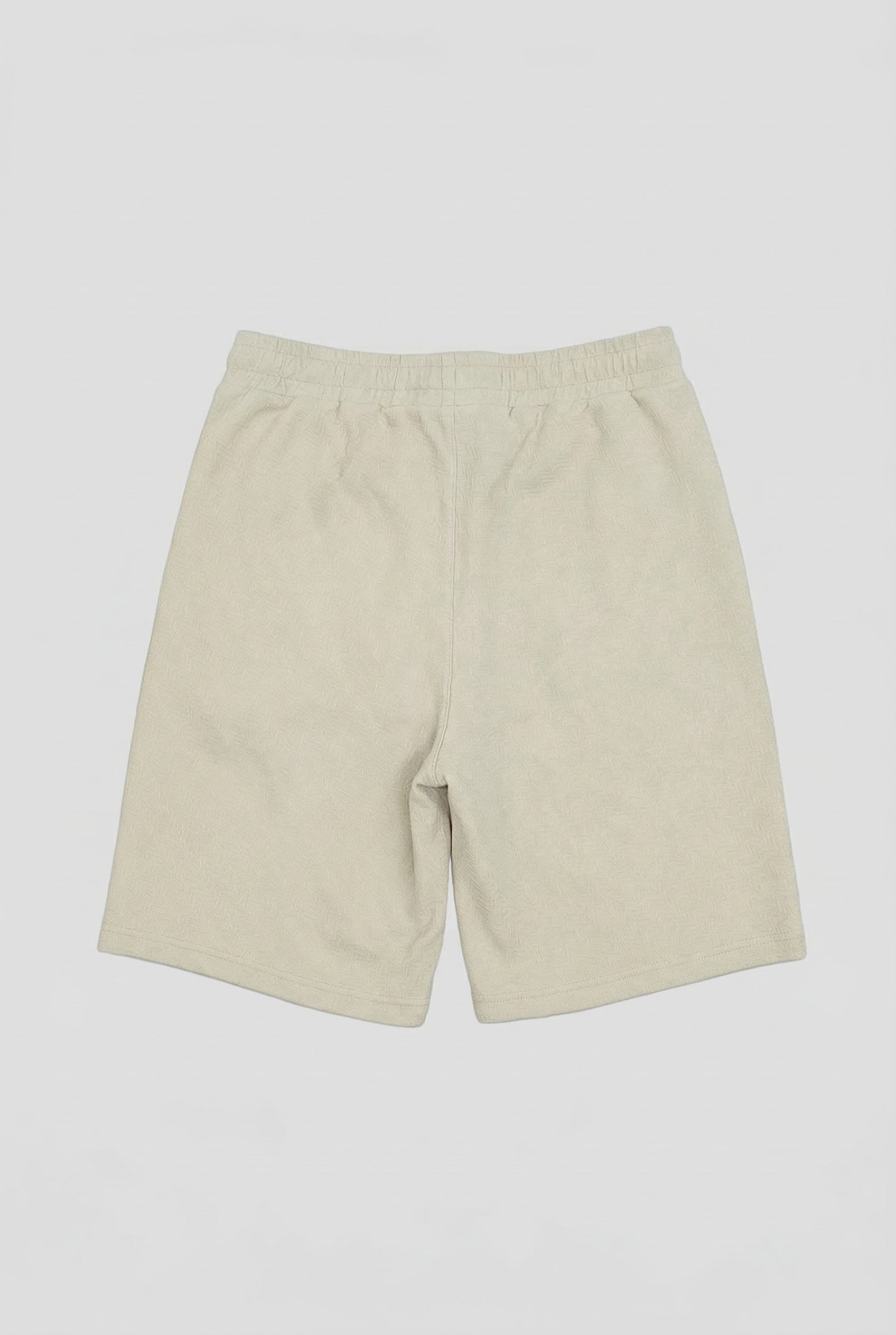 Casual Shorts (HTACJ2F035H)
