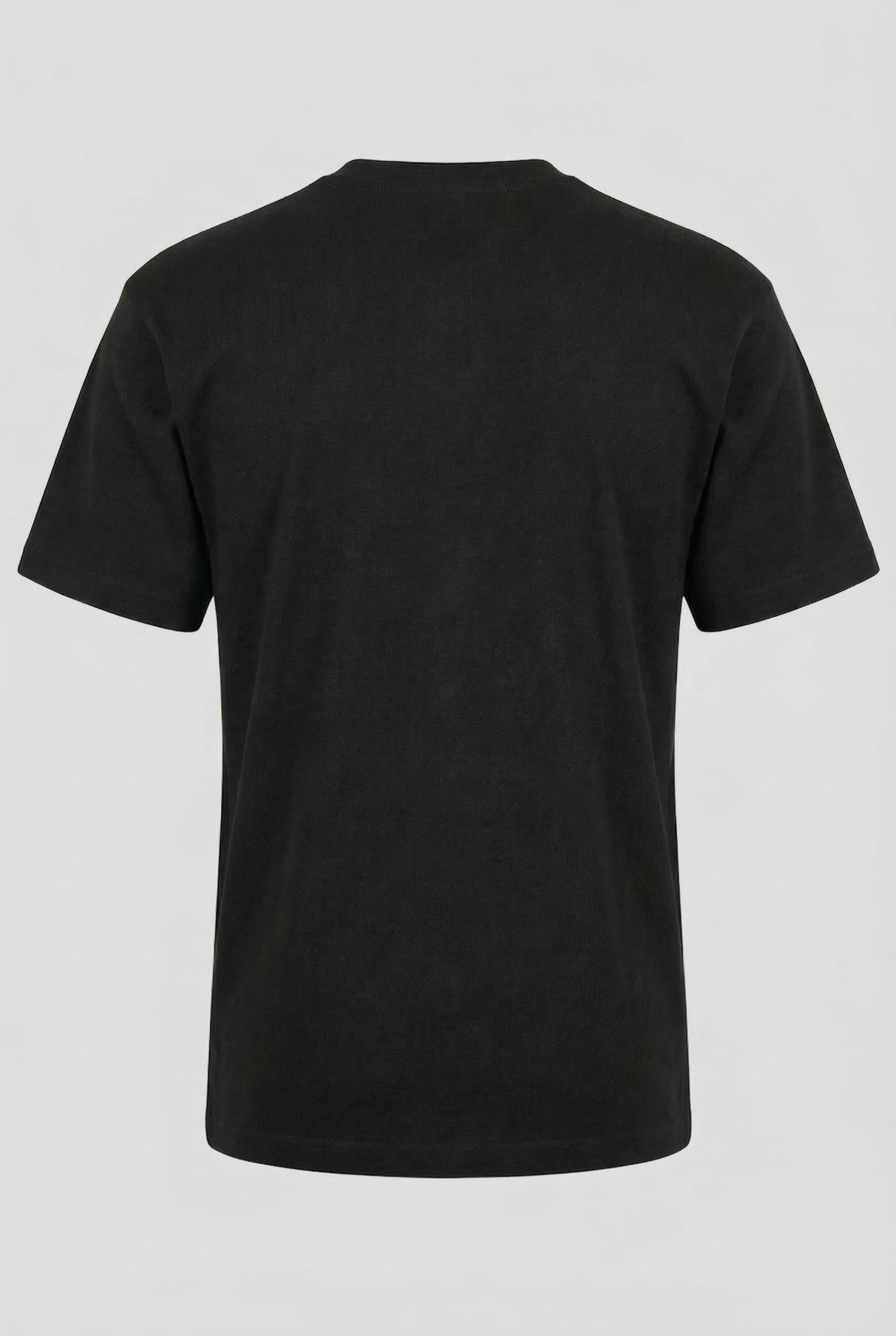 Classic V-Neck T-Shirt (HNTBJ2F617H)