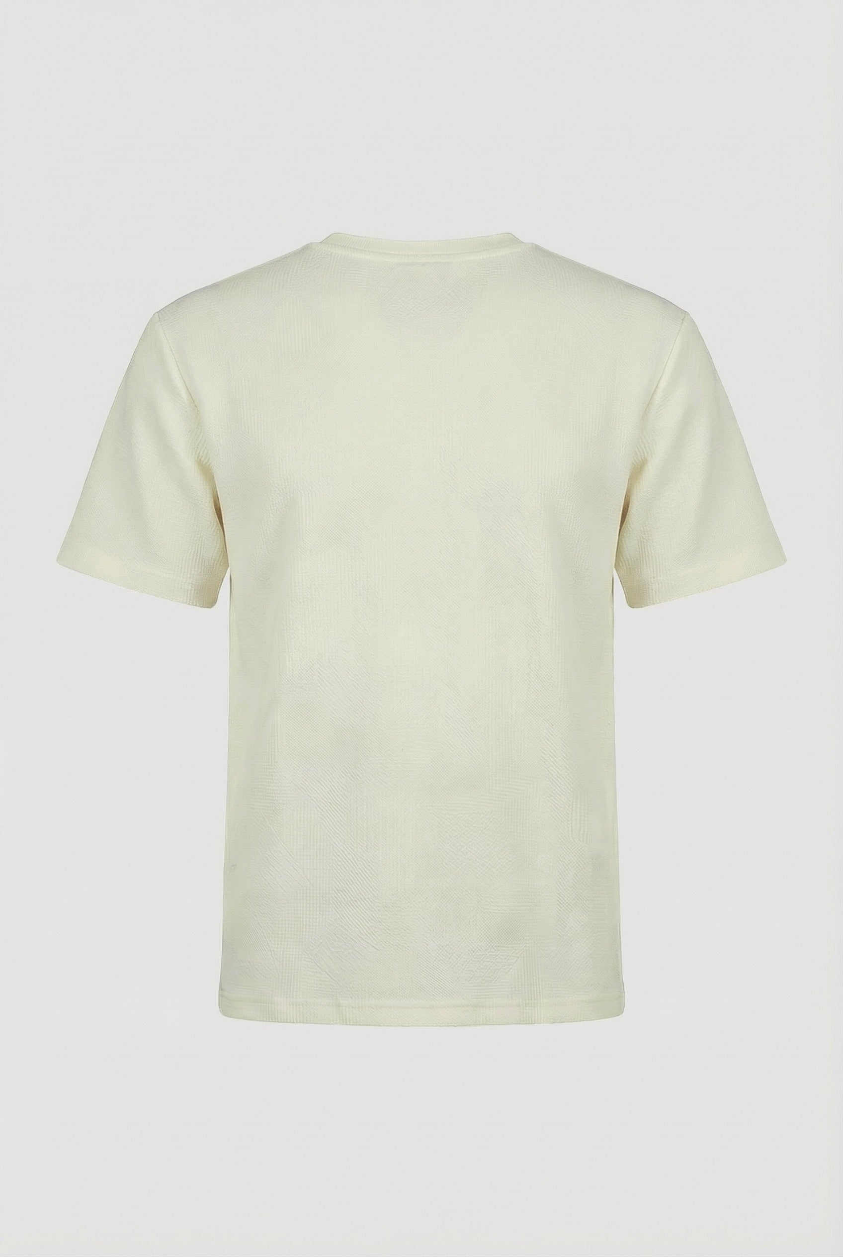 Classic V-Neck T-Shirt (HNTBJ2F704H)