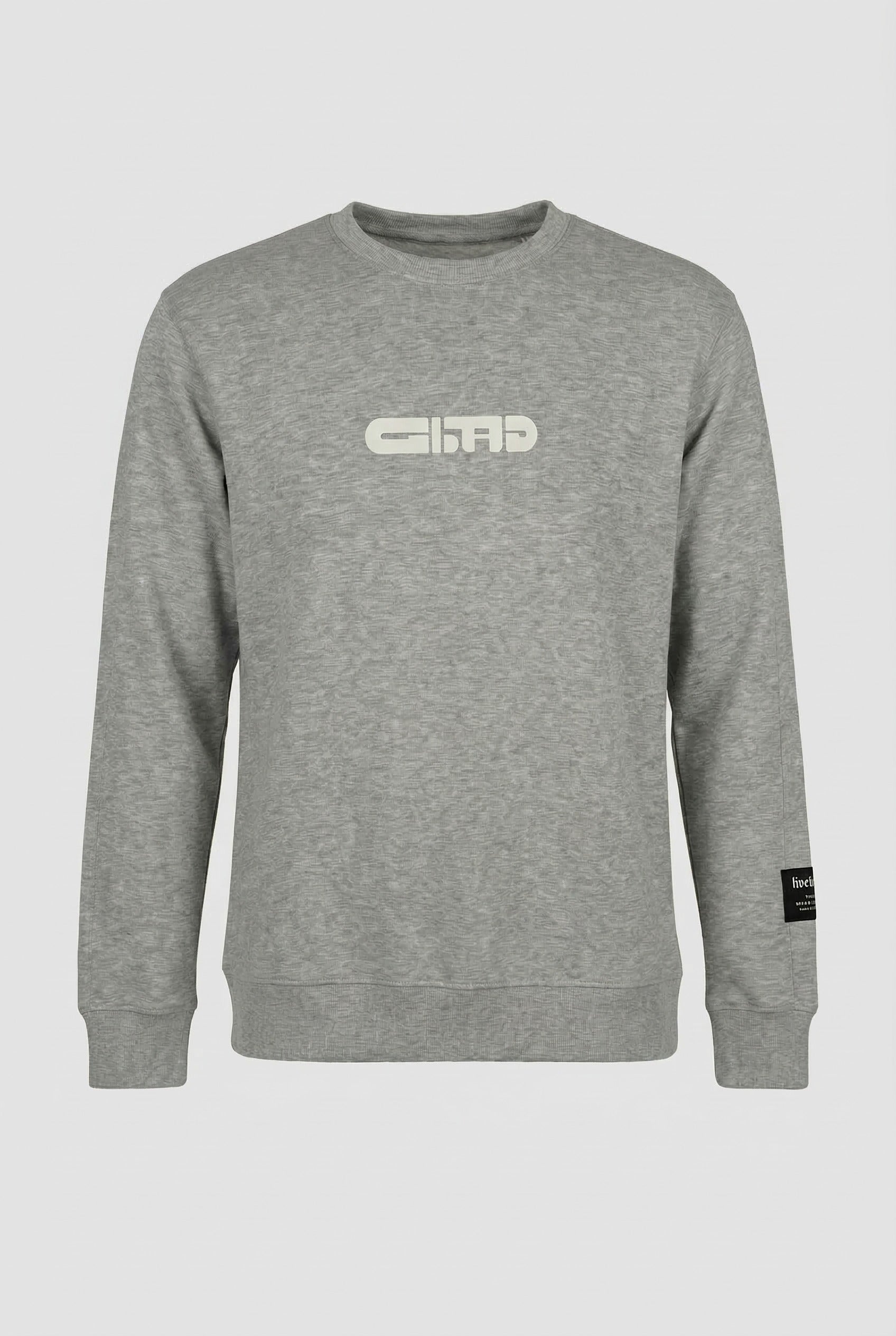 Sweatshirt (HNZWD3J116A)