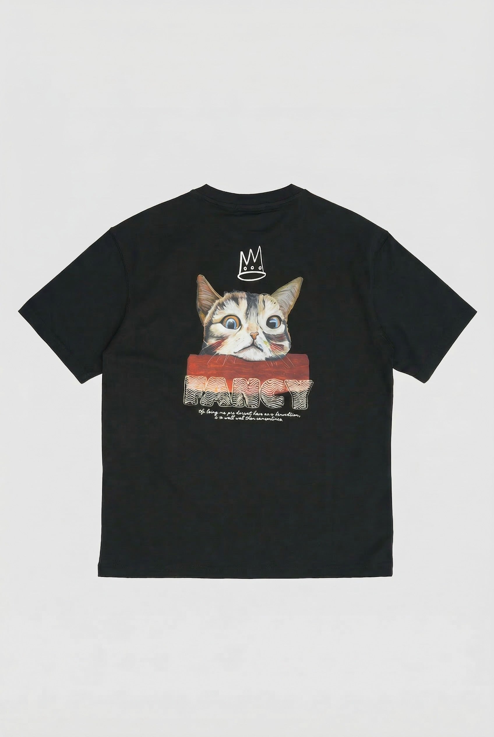 Classic V-Neck T-Shirt (HNTBJ2F863H)