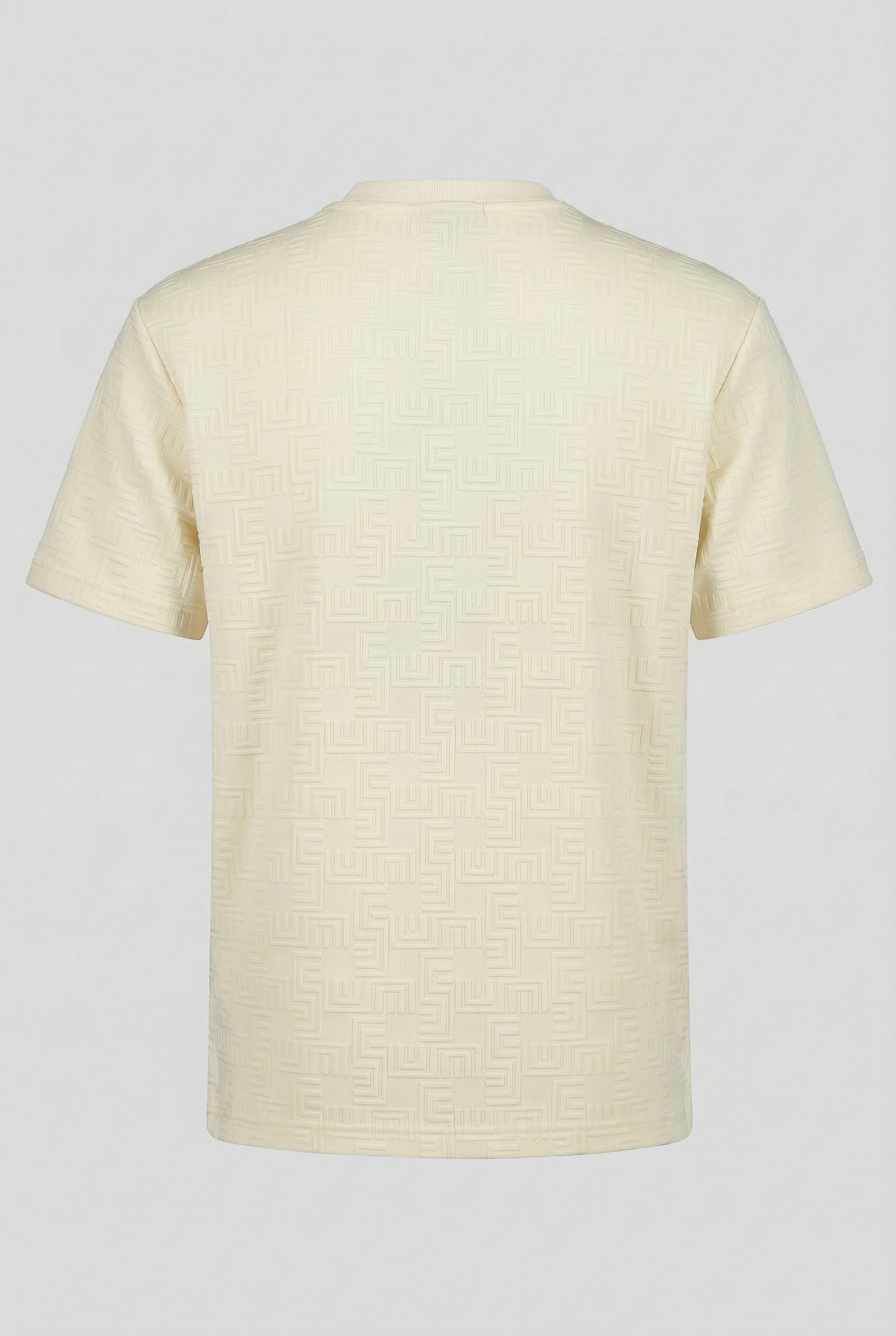 Classic V-Neck T-Shirt (HTABJ2F023H)