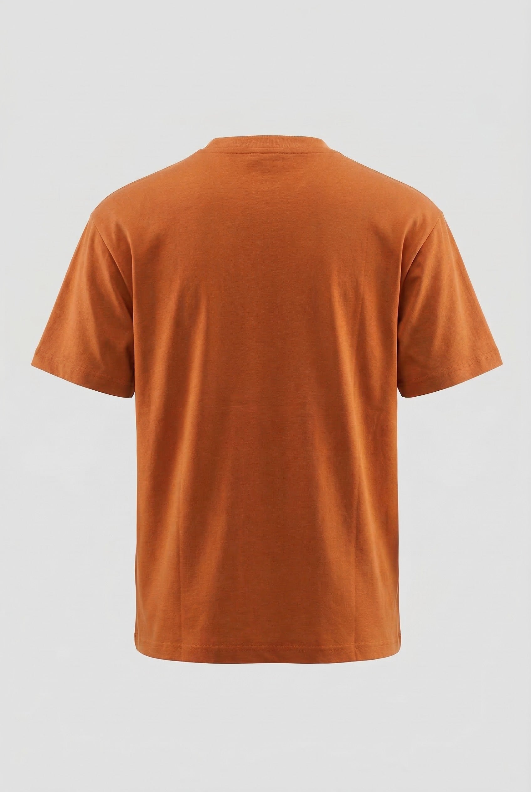 Classic V-Neck T-Shirt (HNTBJ2F776H)