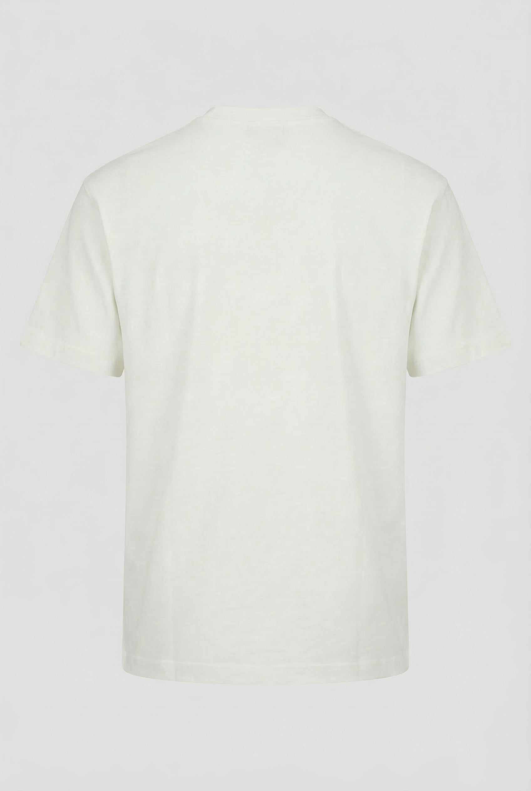 Classic V-Neck T-Shirt (HNTBJ2F653H)
