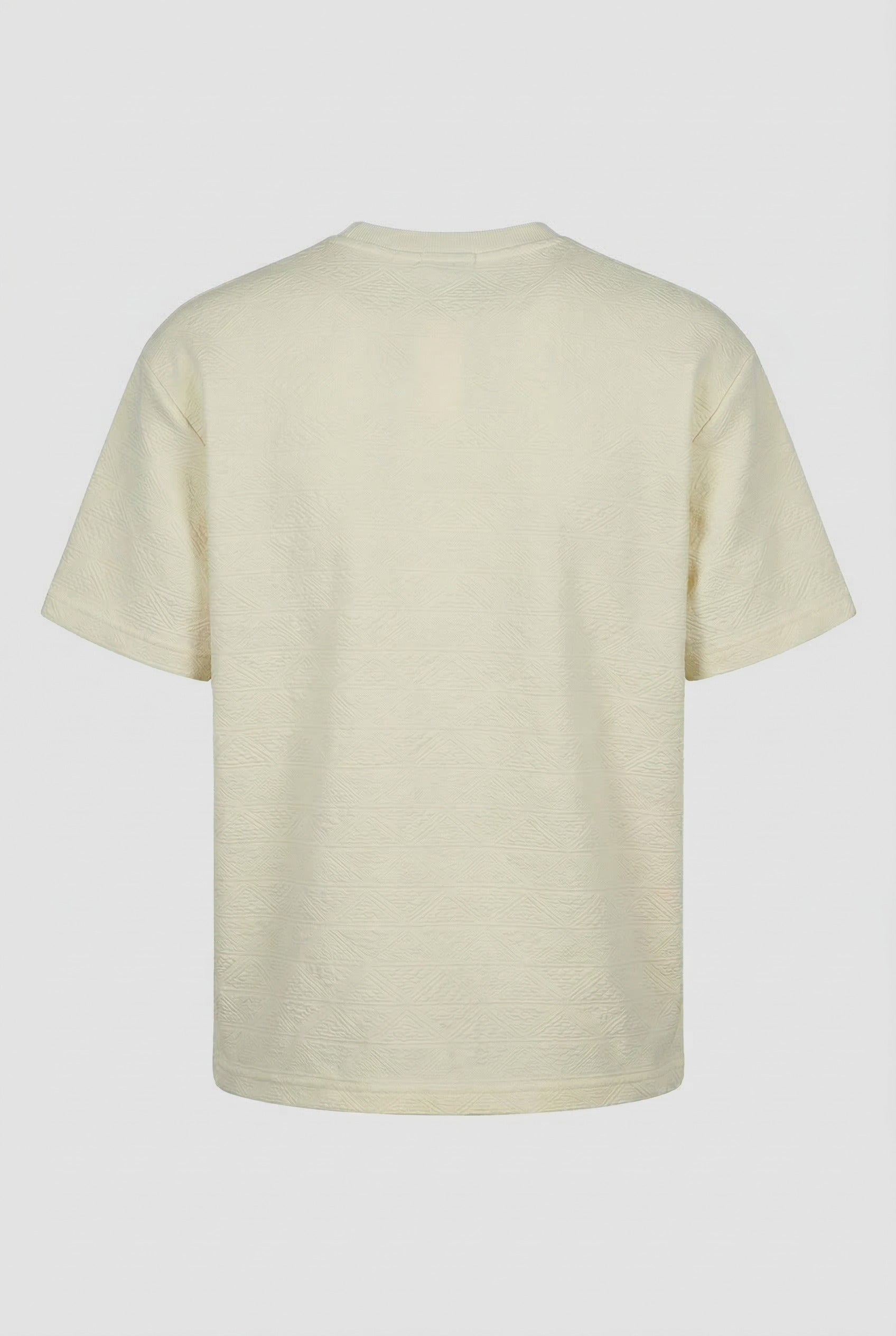 Classic V-Neck T-Shirt (HTABJ2F021H)