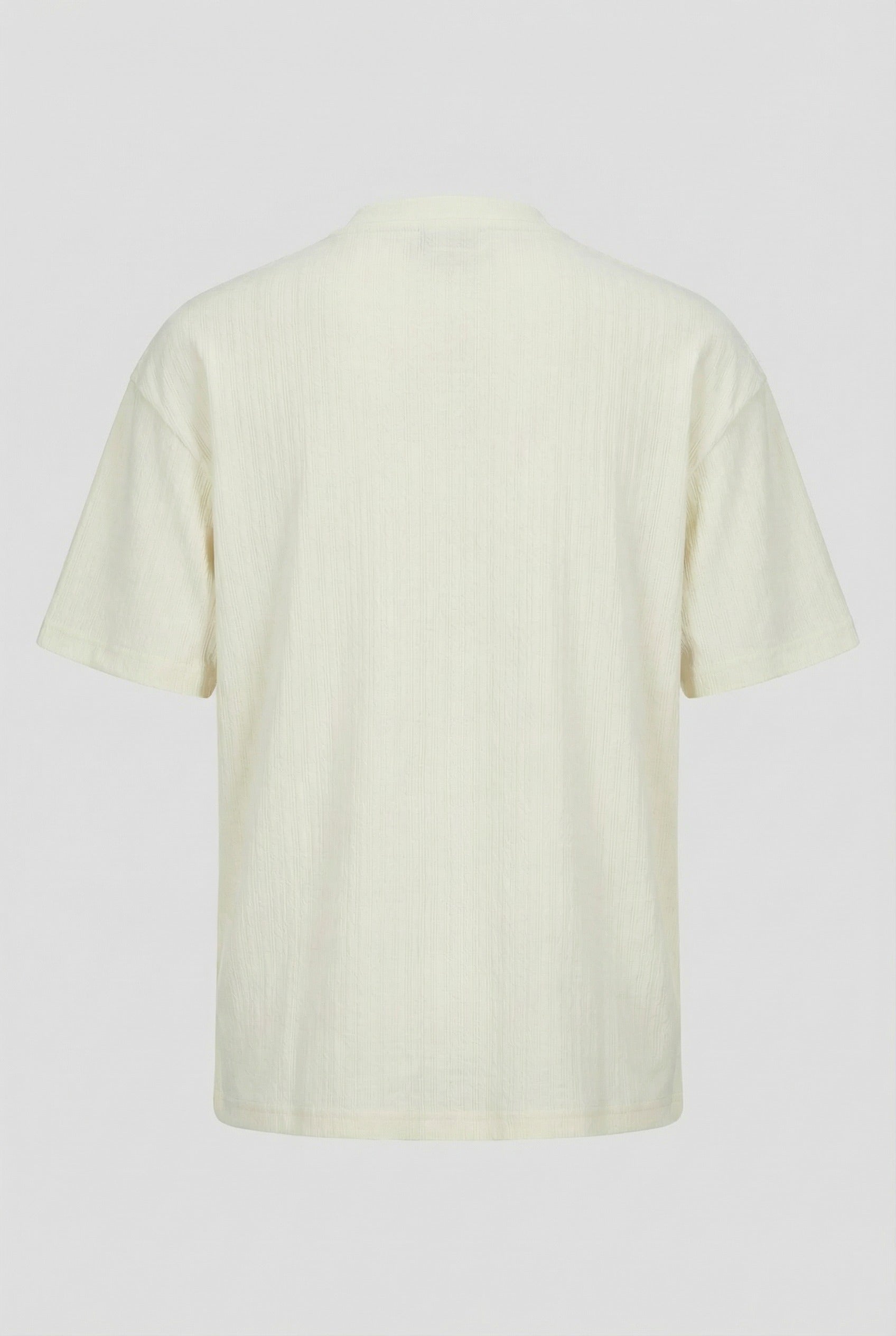 Classic V-Neck T-Shirt (HNTBJ2F818H)